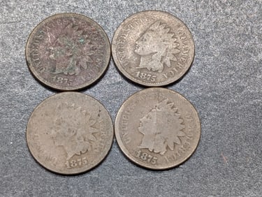 (4) 1875 Indian Head Pennies