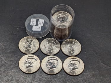 Full Tube of 2010P Kennedy Half Dollars. All GEM BU Coins. Market Review is $8 per coin in MS65.