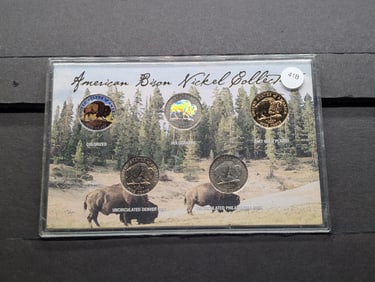 (5) American Buffalo Nickel Collection, Incudes 1 Colorized, 1 Gold Plated, 1 Holographic, &