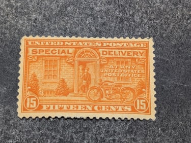 Special Delivery Stamp, E13, UNC, NH, OG