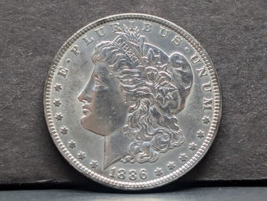 1886, 90% Silver (Brilliantly Uncirculated) Morgan Dollar, 139 Years Old!