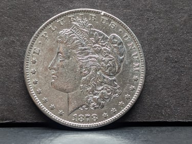 1878 Morgan Silver Dollar