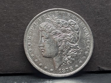 1878 Morgan Silver Dollar