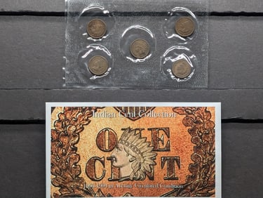 1900-1904 Indian Head Cent Collection in Average Circulated Condition