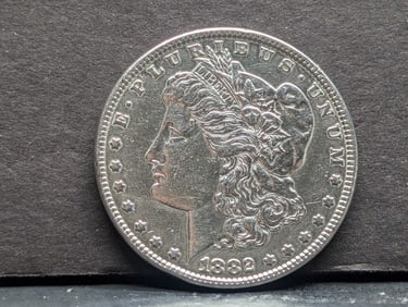 1882 Morgan Silver Dollar