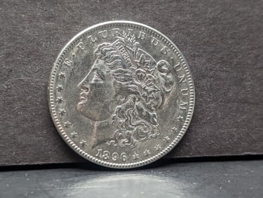 1896 Morgan Silver Dollar