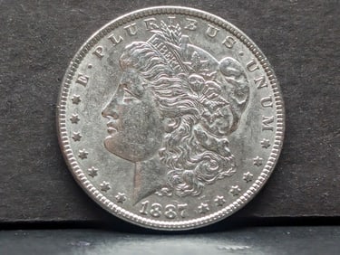 1887 Morgan Silver Dollar