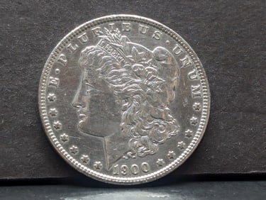 1900 Morgan Silver Dollar