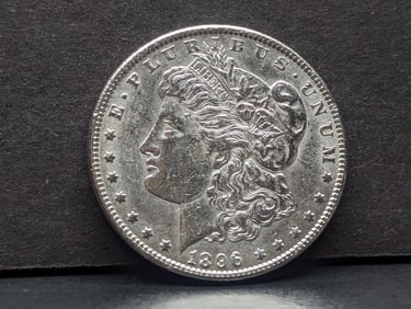 1896 Morgan Silver Dollar