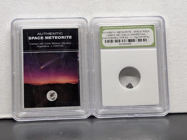 Authentic Campo del Cielo Argentina Meteor Shower & Meteorite Space Rock