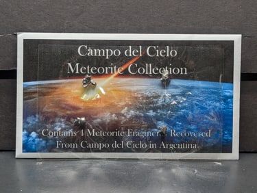 Collection of Meteorites from Campo del Cielo in Argentina - 4 Fragments