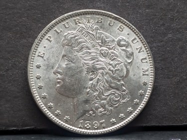 1897 Morgan Silver Dollar