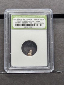 Authentic Meteorite Space Rock - North West Africa - Sahara Desert Find - Nickel Iron