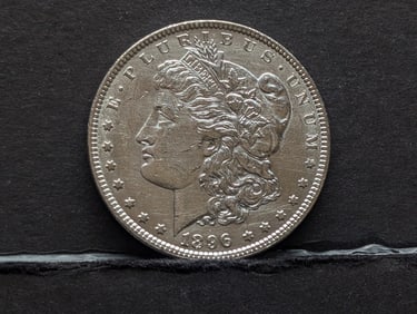 1896 Morgan Silver Dollar