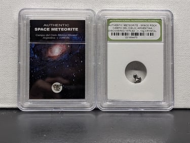 Authentic Campo del Cielo Argentina Meteor Shower & Meteorite Space Rock