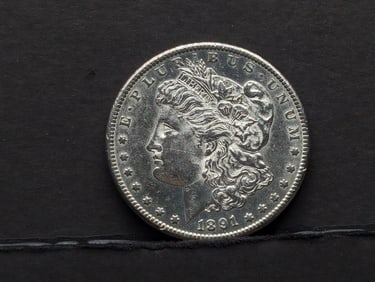 1891-S Morgan Silver Dollar