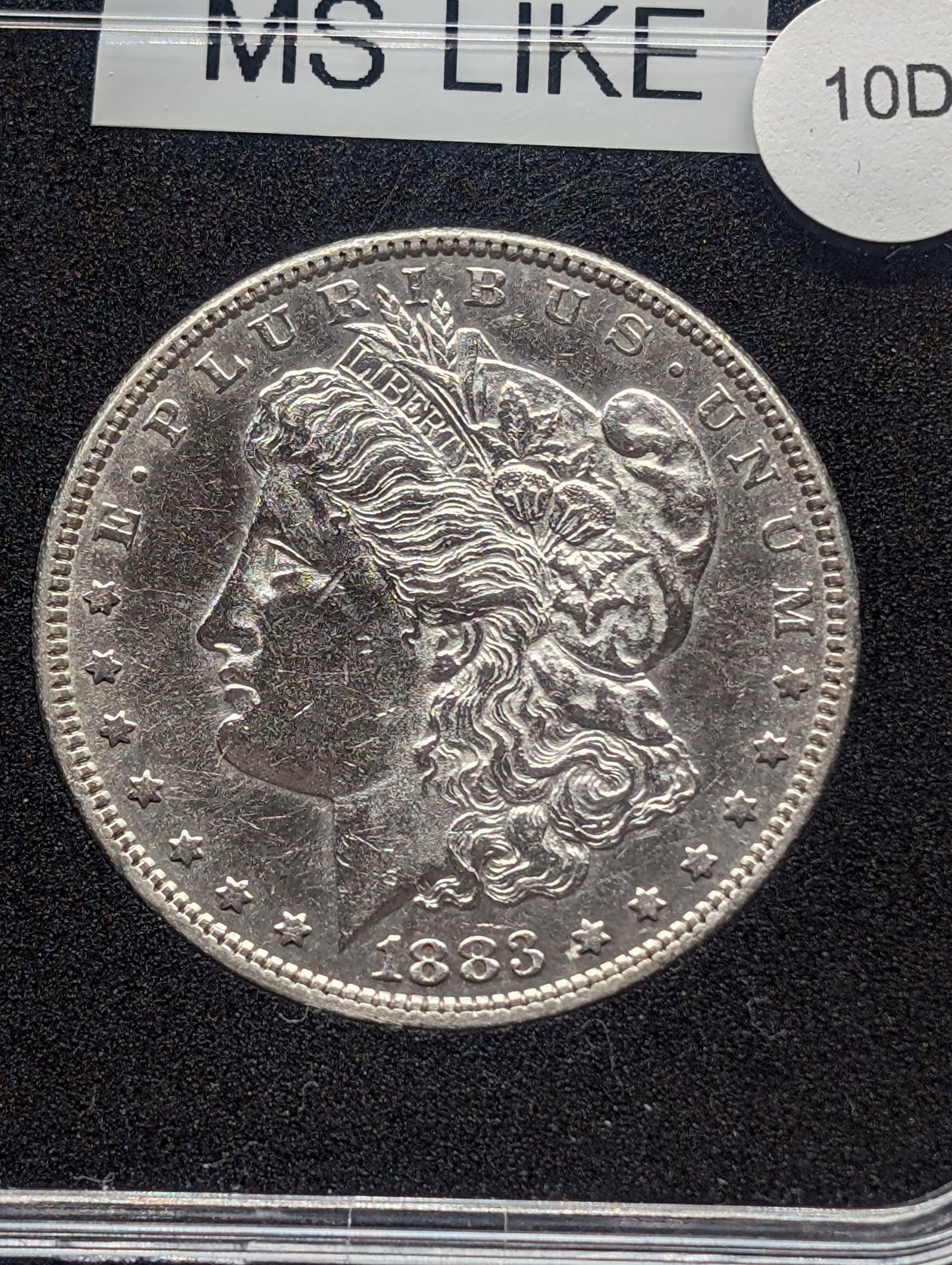 1883 Morgan, MS-Like (1 of 3)