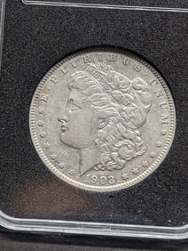 1903 Morgan