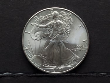 2001 American Silver Eagle