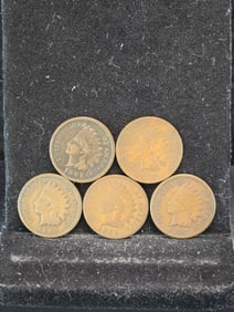 1887 1888 1889 1890 1891 Semi-Key Date Indian Head Cents.