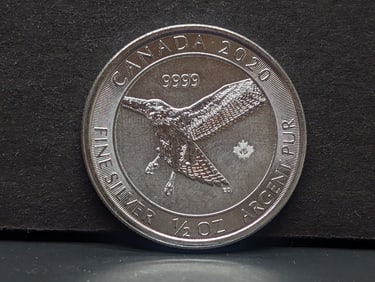 1/2 Oz. .9999 FINE SILVER 2020 Canada $2 Flying Eagle Designed Coin
