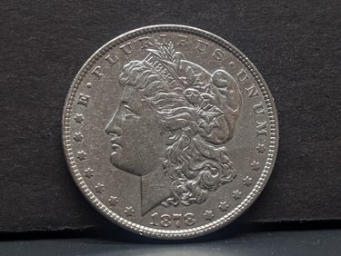 1878 Morgan Silver Dollar