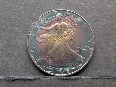 1999 American Silver Eagle w/ Beautiful Heavy Toning