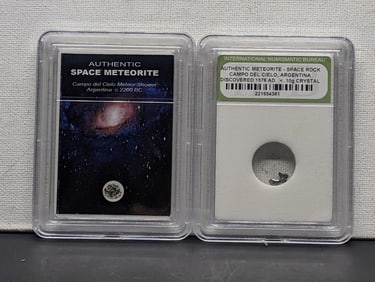 Authentic Campo del Cielo Argentina Meteor Shower & Meteorite Space Rock