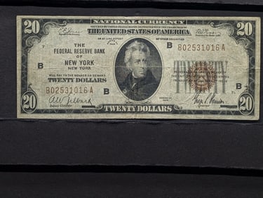 Series 1929 Brown Seal $20 National Currency Note. The Federal Resv. Bank of New York NY. TOUGH FIND