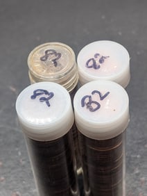 (4) Tubes of 1982 Lincoln Memorial Cents