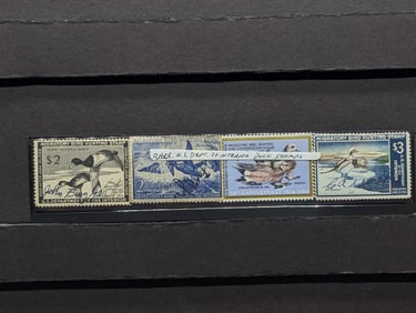Four U.S. Dept. Of Interior Duck Stamps