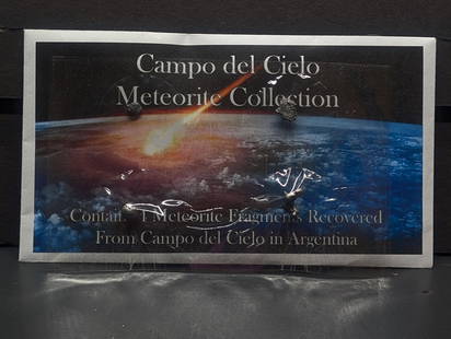 Collection of Meteorites from Campo del Cielo in Argentina - 4 Fragments: Collection of Meteorites from Campo del Cielo in Argentina - 4 Fragments