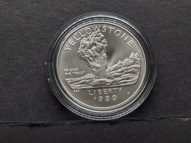 1999-P UNC Yellowstone National Park Commemorative Silver Dollar in Capsule