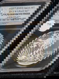 2013-W Special Proof Enhanced Finish Silver American Eagle Graded SP 70 Enhanced Finish By NGC