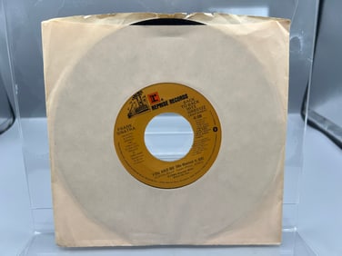 1980 Frank Sinatra Theme From New York, New York/You And Me (We Wanted It All) 45 RPM Record -