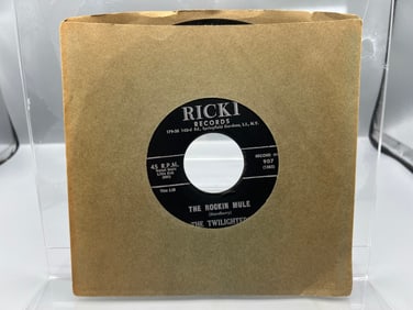 1960 The Twilighters Help Me/Rockin Mule 45 RPM Record - 907