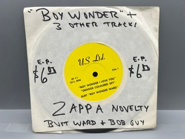 1966 Frank Zappa Novelty Record - Burt Ward/Bob Guy Boy Wonder I Love You/Dear Jeepers 45 RPM Vinyl