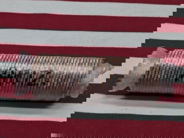 Shrink Wrapped Roll of 2008 -P Arizona State Quarters