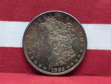 1882 Morgan Silver Dollar - UNC - Beautiful Toning