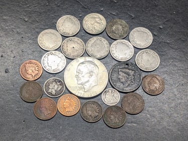 Various U.S. Coins, (1) IKE Dollar ,(8) Indian Head Cents, (8) Liberty Head V Nickels, (1) Buffalo