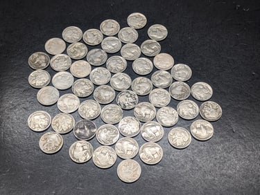 50 - Buffalo Nickels with Dates