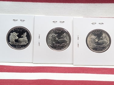 2004 Wisconsin State Quarter P,D Uncirculated & S Proof Quarter Set