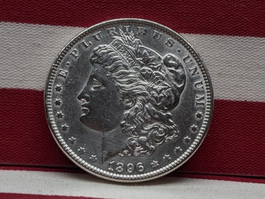 1896 Morgan Silver Dollar