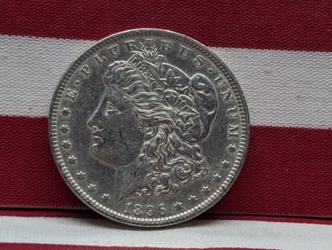 1896 Morgan Silver Dollar