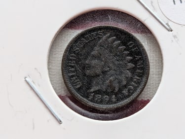 1894 Indian Head Cent