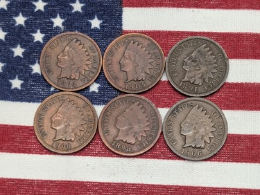 1891, 1898, 1903, 1905, 1906, & 1908 Indian Head Cents