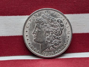 1896 Morgan Silver Dollar