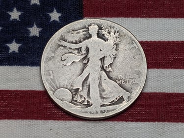 1919 Walking Liberty Half Dollar **GOOD - BETTER DATE**