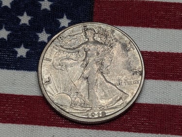 **AU** 1918-D Walking Liberty Half Dollar w/ Scratch