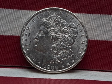 1900 Morgan Silver Dollar